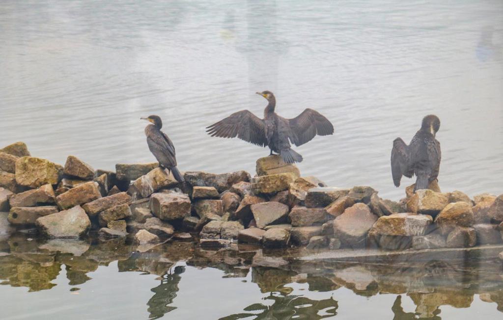 Houseboat Uitzicht Over Veluwemeer, Natuurlokatie, Prachtige Vergezichten Biddinghuizen Εξωτερικό φωτογραφία